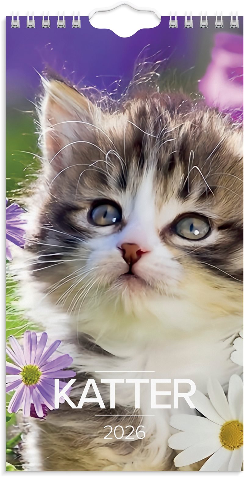 Väggkalender 2026 Liten Kattkalender