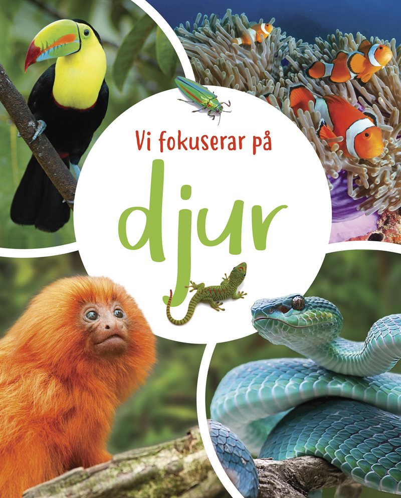Vi fokuserar på. Djur