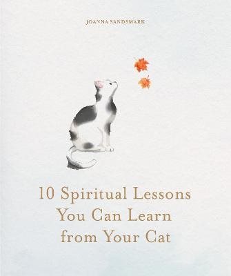 10 Spiritual Lessons You Can Learn from Your Cat
