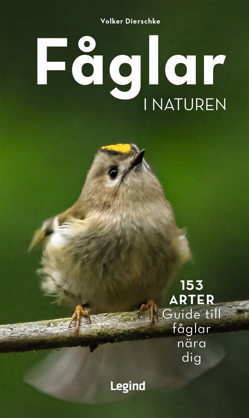 Fåglar i naturen : 153 arter, guide till fåglarna kring dig