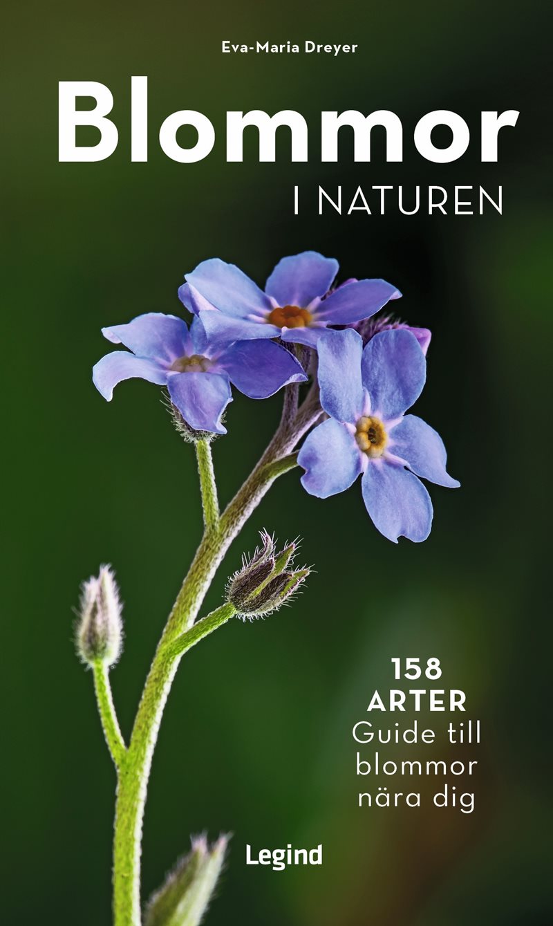Blommor i naturen : 158 arter, guide til blommorna kring dig