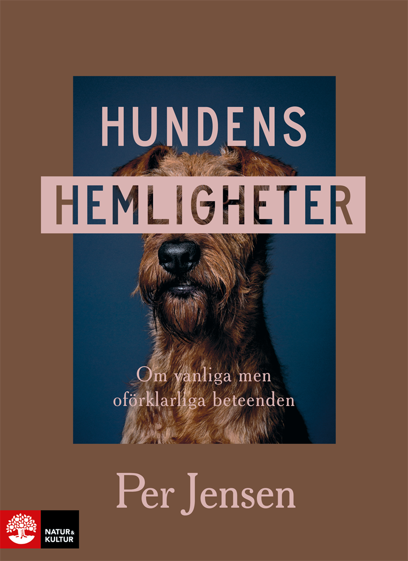 Hundens hemligheter