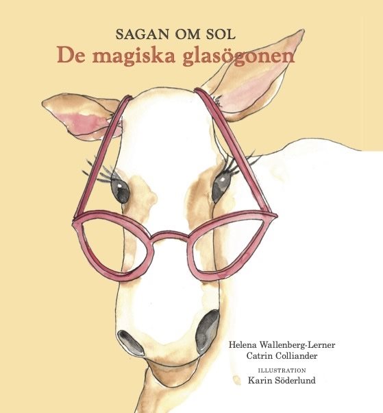 De magiska glasögonen