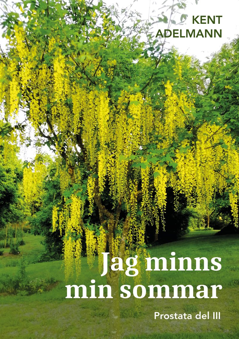 Jag minns min sommar : Prostata del III
