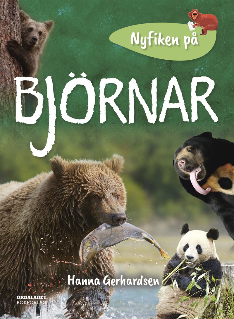 Nyfiken på björnar