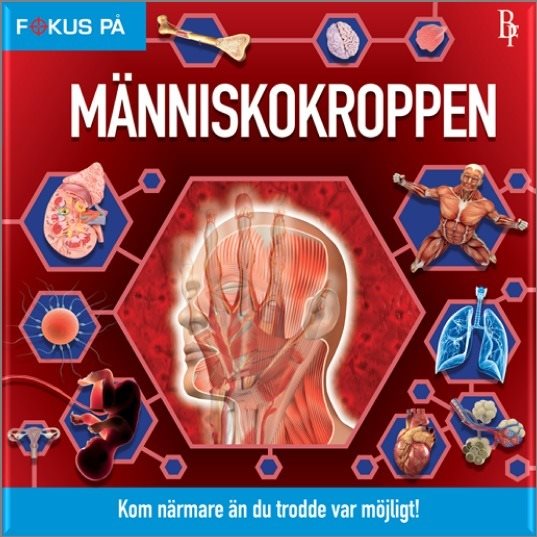 Fokus på : Människokroppen