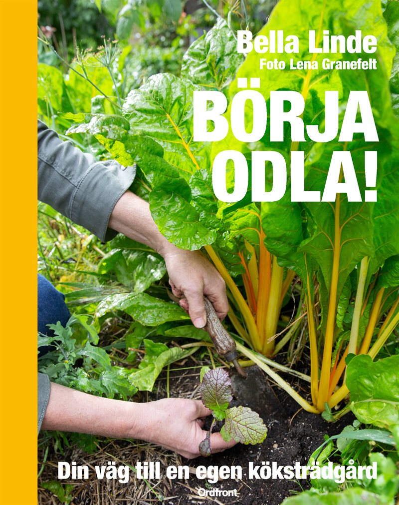 Börja odla! Din väg till en egen köksträdgård