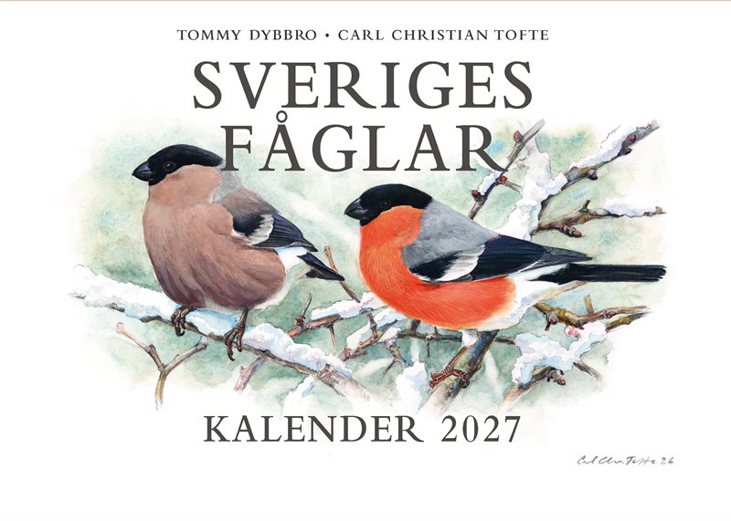 Sveriges fåglar. Kalender 2027