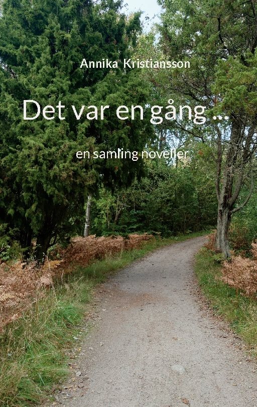 Det var en gång ... : en samling noveller