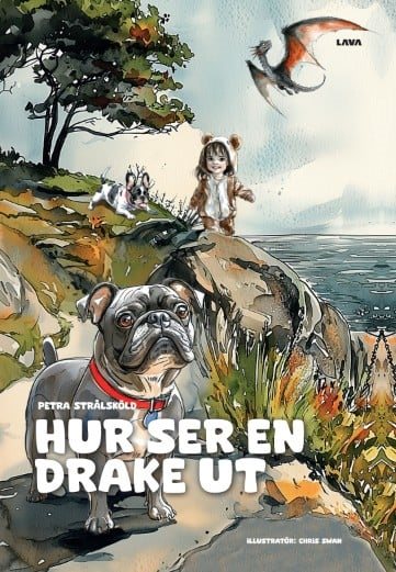 Hur ser en drake ut