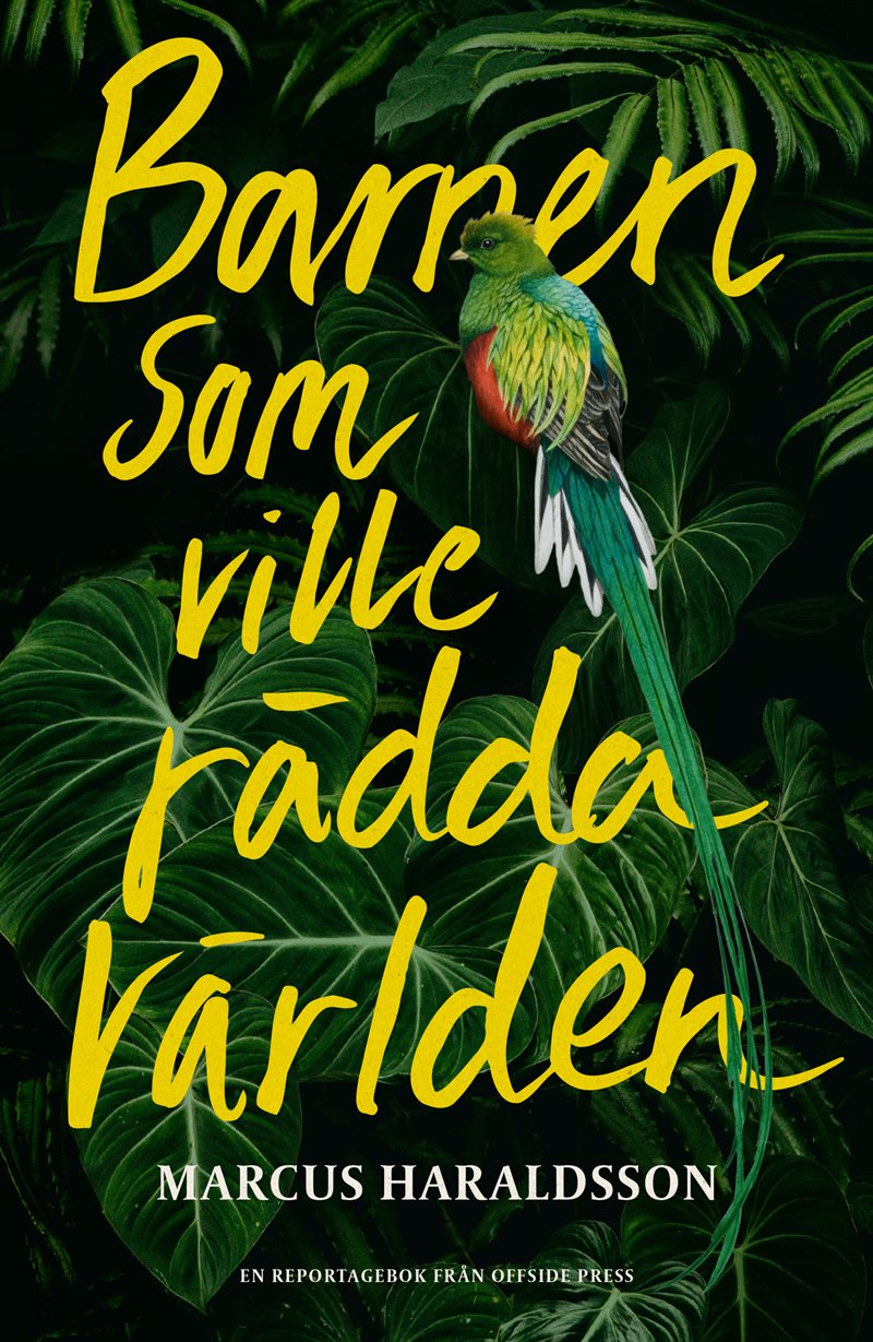 Barnen som ville rädda världen; Berättelsen om Barnens Regnskog