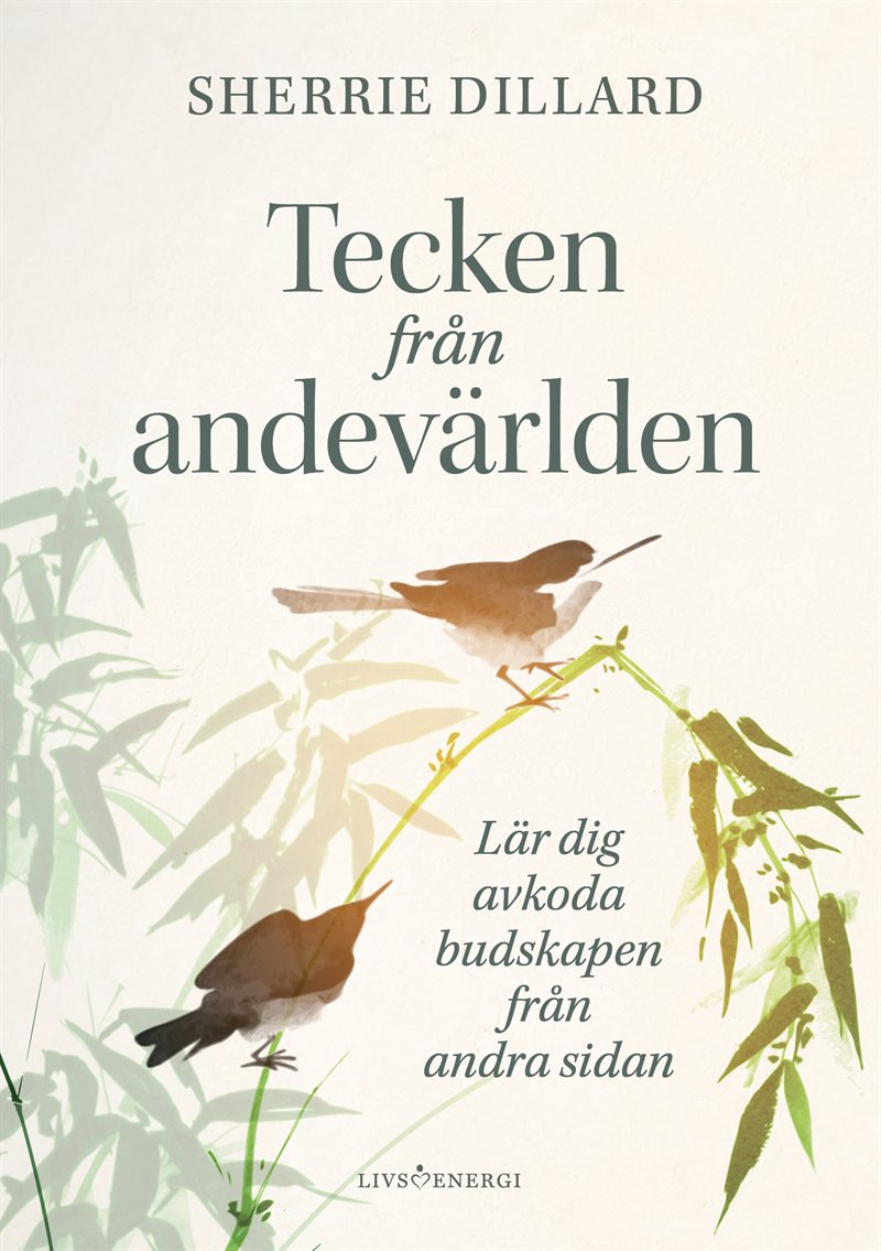 Tecken från andevärlden : lär dig avkoda budskapen från andevärlden