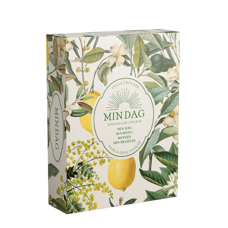 MIN DAG: Min dag, Min kväll, Minnen, Min framtid