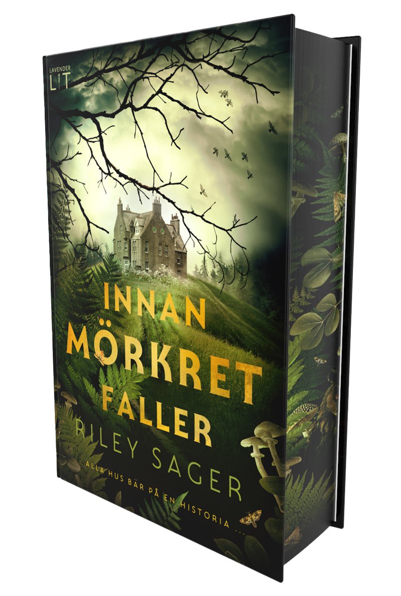 Innan mörkret faller