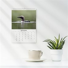 Väggkalender 2026 Fåglar