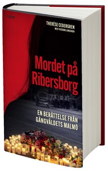 Mordet på Ribersborg : en berättelse från gängvåldets Malmö