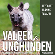 Valpen & unghunden